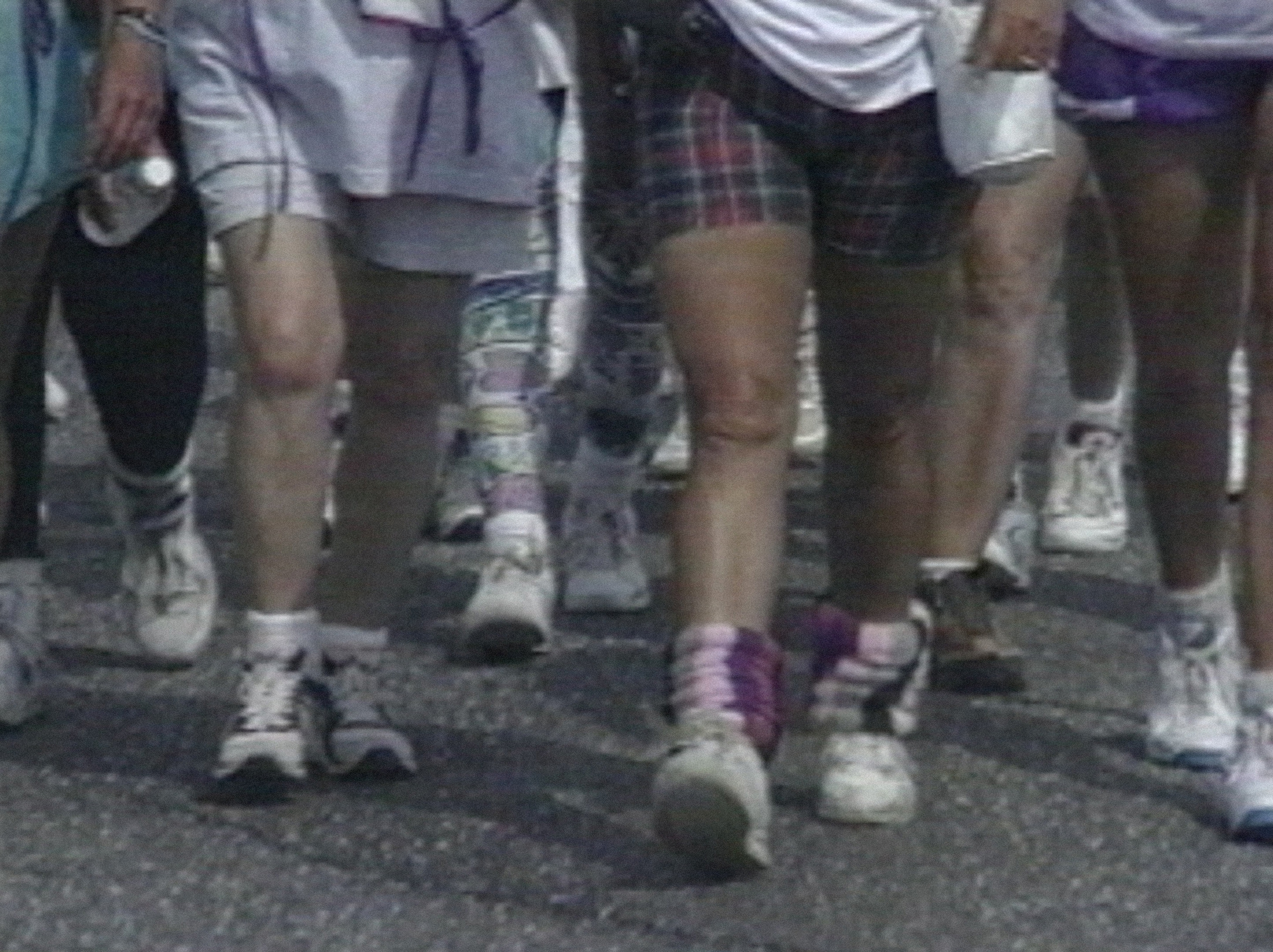 [ Fig.14 ] Les marcheuses, 1995.