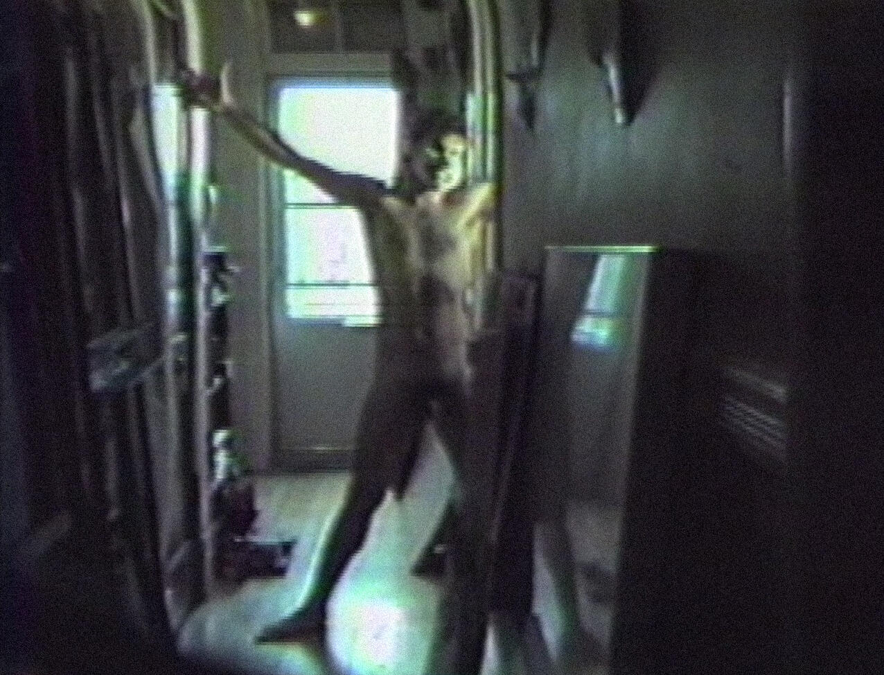 [ Fig. 06 ] <i>Portrait de John Mingolla</i> (capture vidéo), 1985.