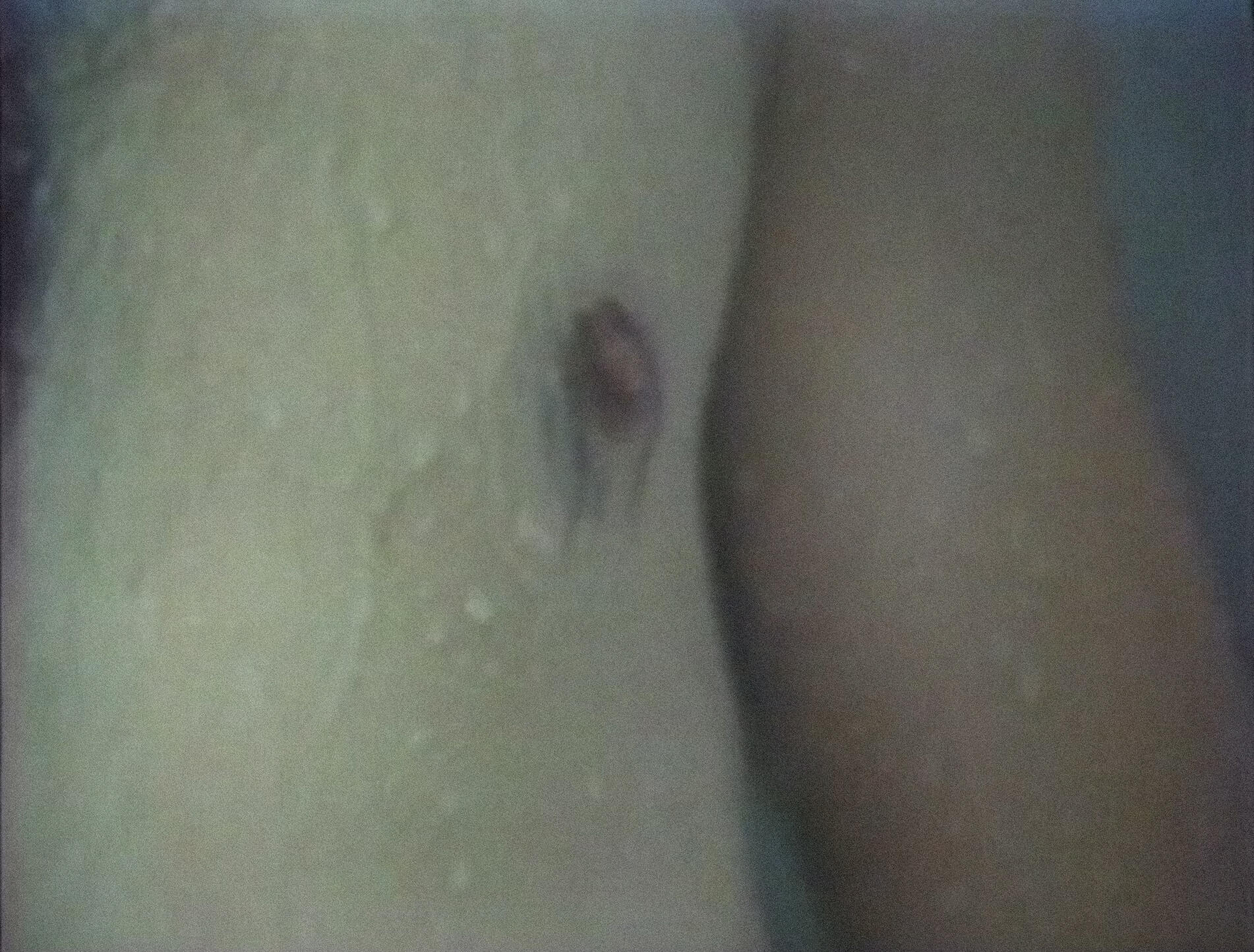 [ Fig. 14 ] <i>Le voyage de l'ogre</i> (capture vidéo), 1981.