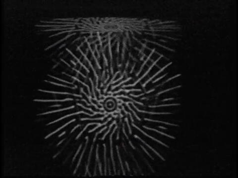 [Fig.02] L'Amertube, 1972. 