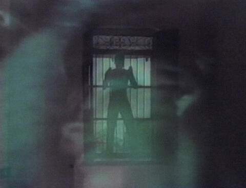 [ Fig. 02 ] <i>Réminiscences carnivores</i> (capture vidéo), 1989.