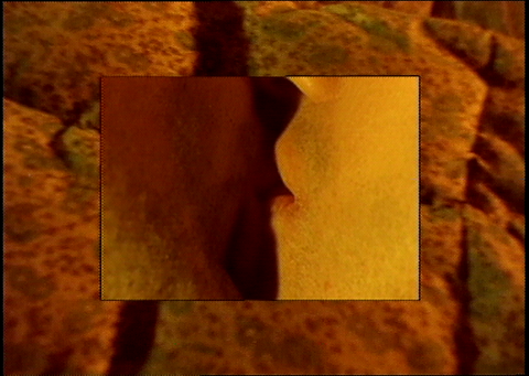 [Fig. 05] <i>Shimmer</i>, 1995.