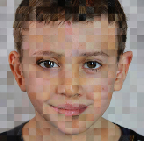 [ Fig. 02 ] <i>Person</i>, 2013. Digital print (detail) 60 x 40 pc.