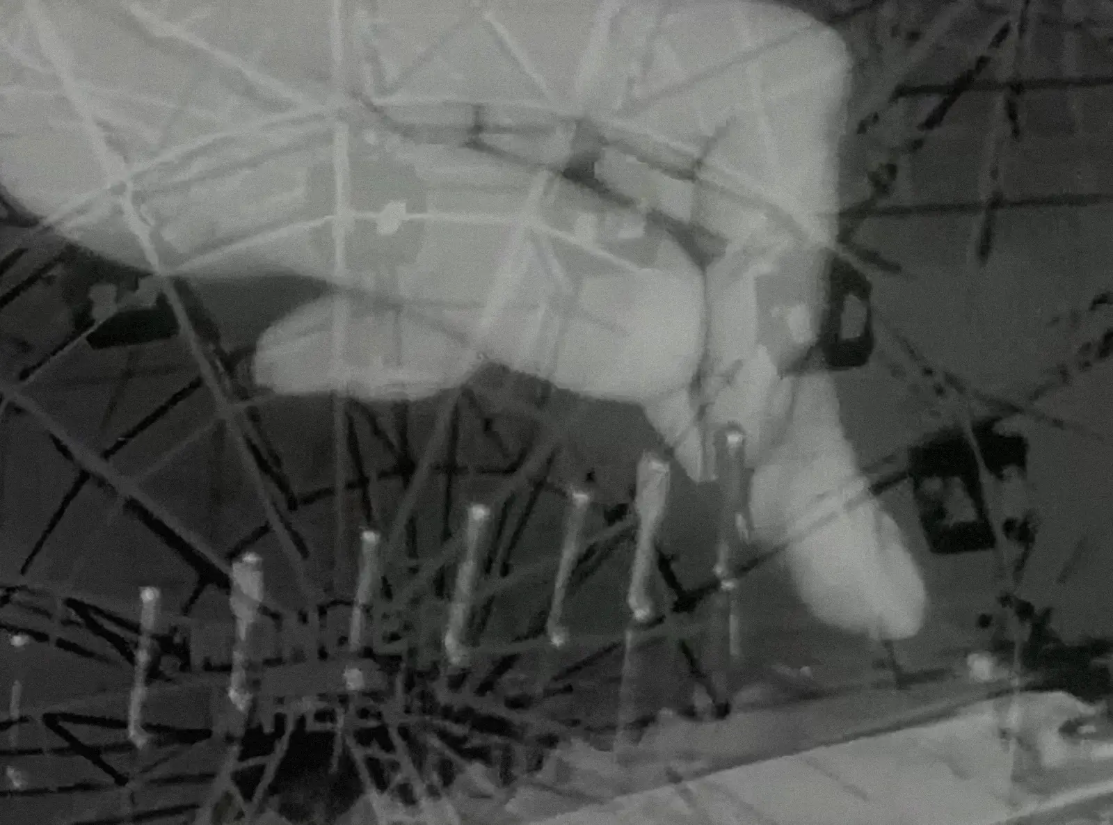 [ Fig. 21 ] Thrills, 
