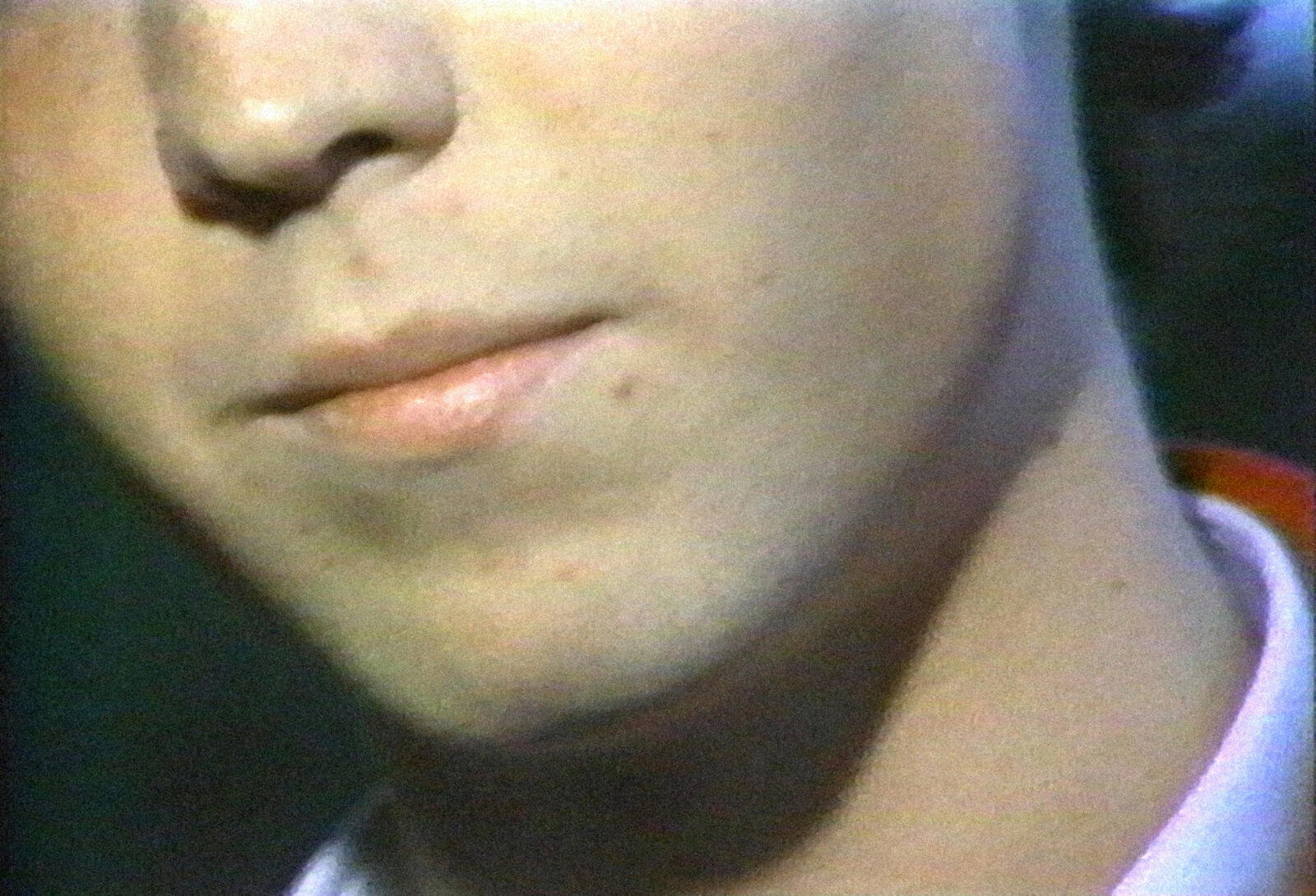 [ Fig. 17 ] <i>Le voyage de l'ogre / The Path of the Ogre</i> (video still), 1981.