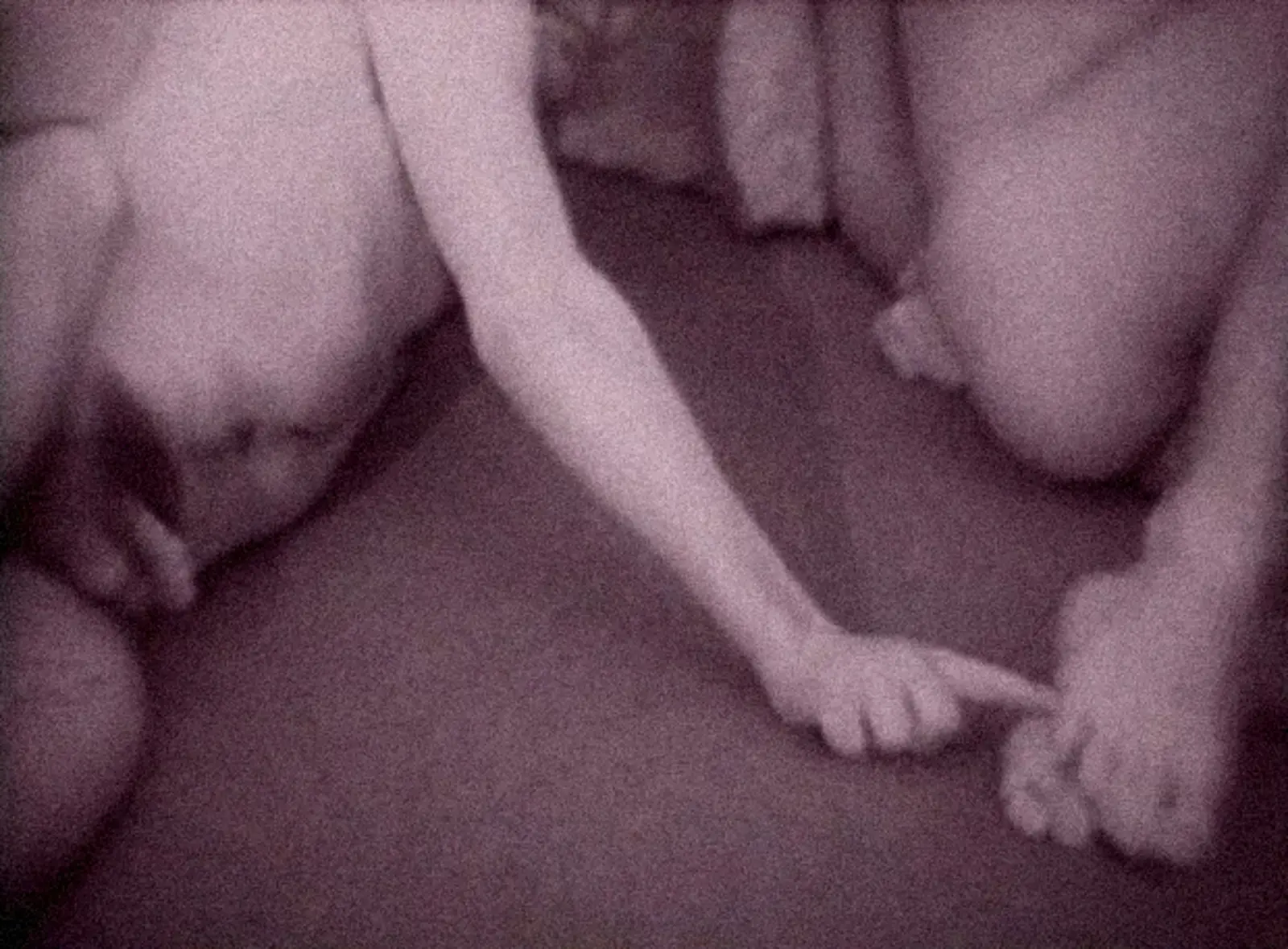 [ Fig. 22 ] <i>La cage</i> (video still), 1983.