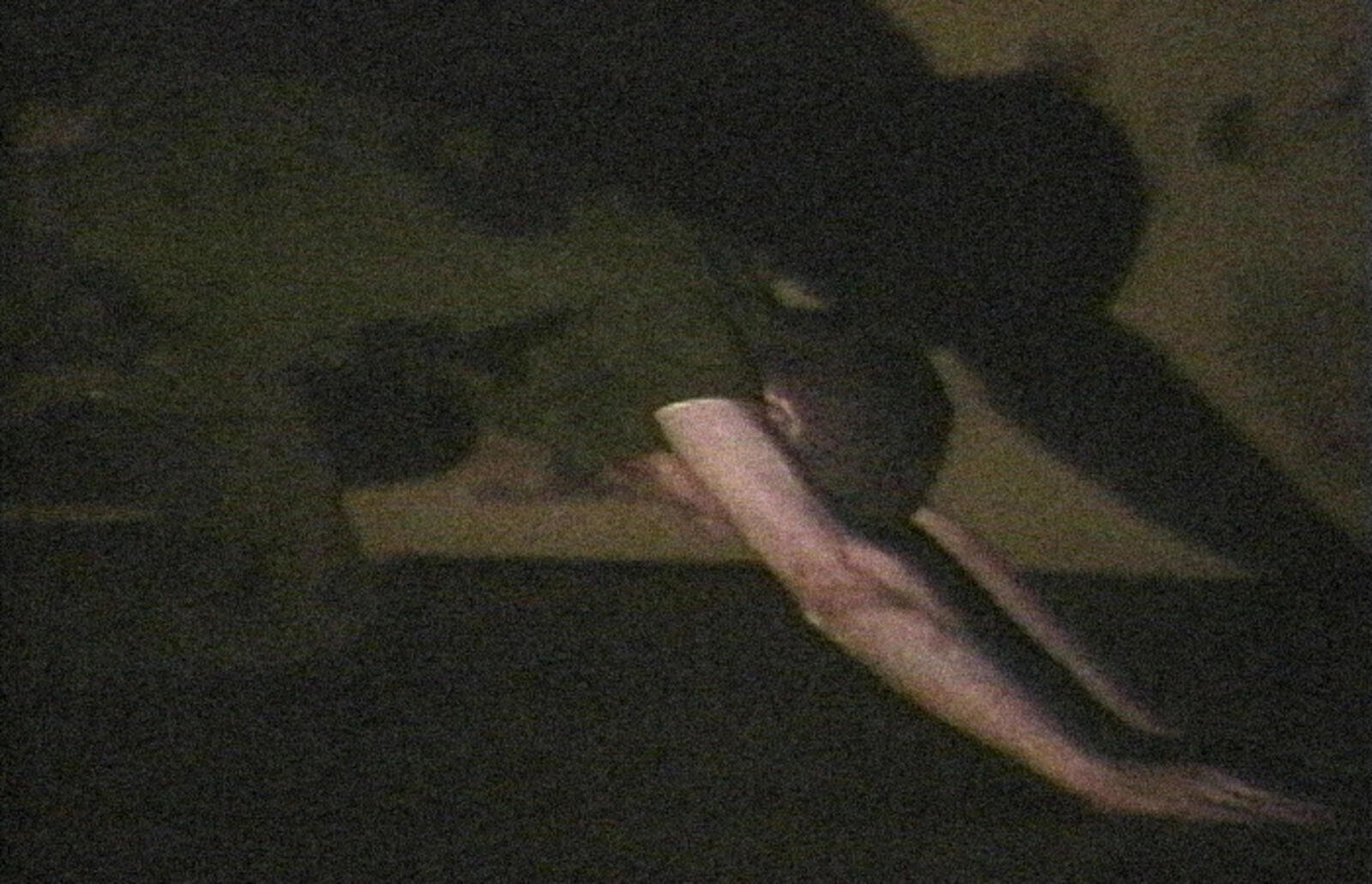 [ Fig. 04 ] <i>Performance « Album » de Denis Lessard</i> (capture vidéo), 1986.