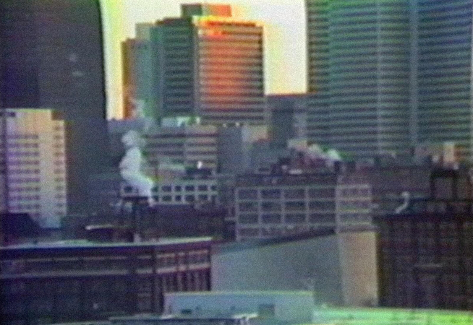 [ Fig. 12 ] <i>Harems</i> (capture vidéo), 1991.