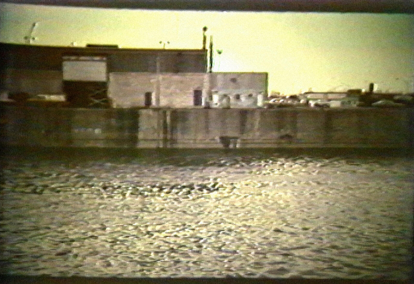 [ Fig. 13 ] <i>Harems</i> (capture vidéo), 1991.