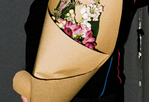 [ Fig. 01 ] Camila Forteza (2026)